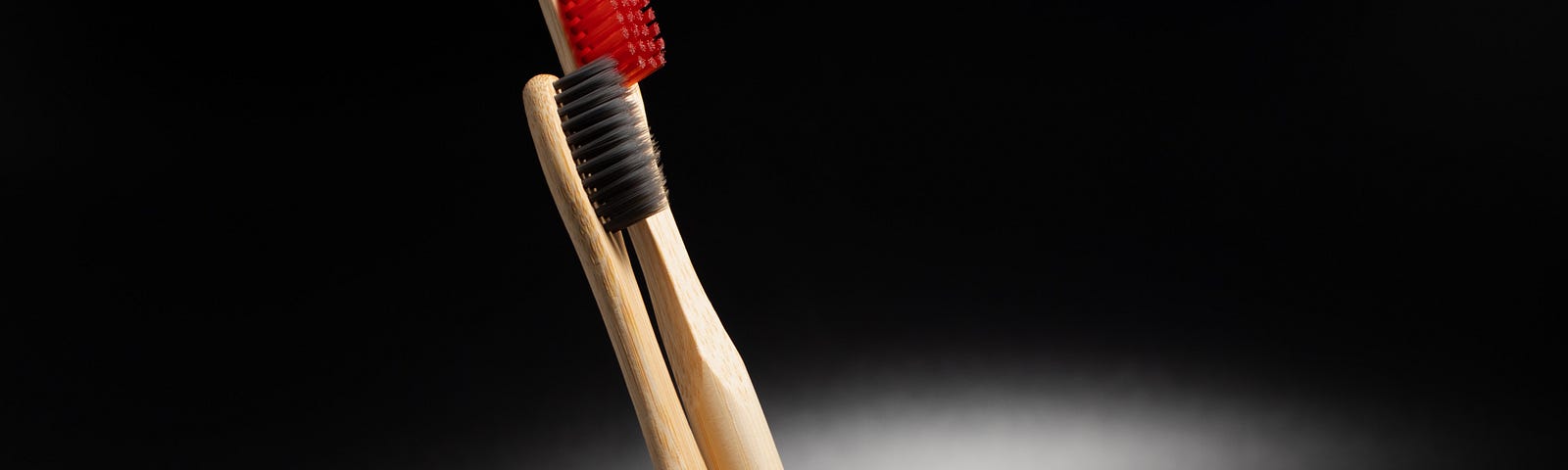 Two toothbrushes in a pot
