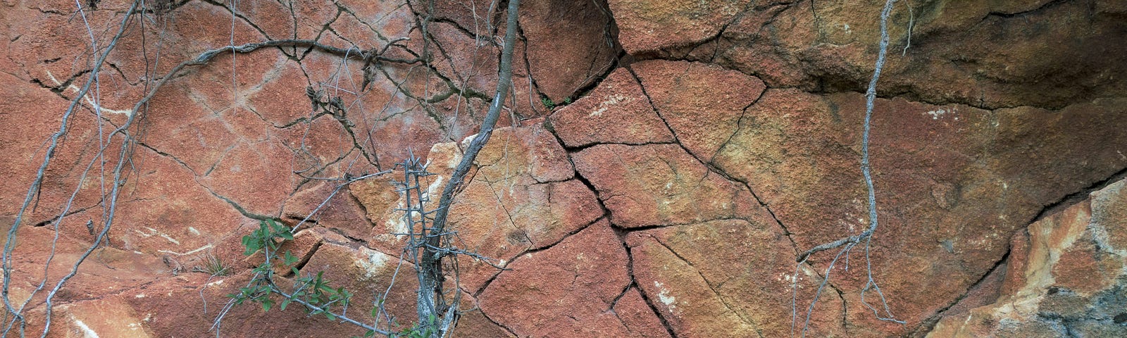 Lines or fractures in a rock
