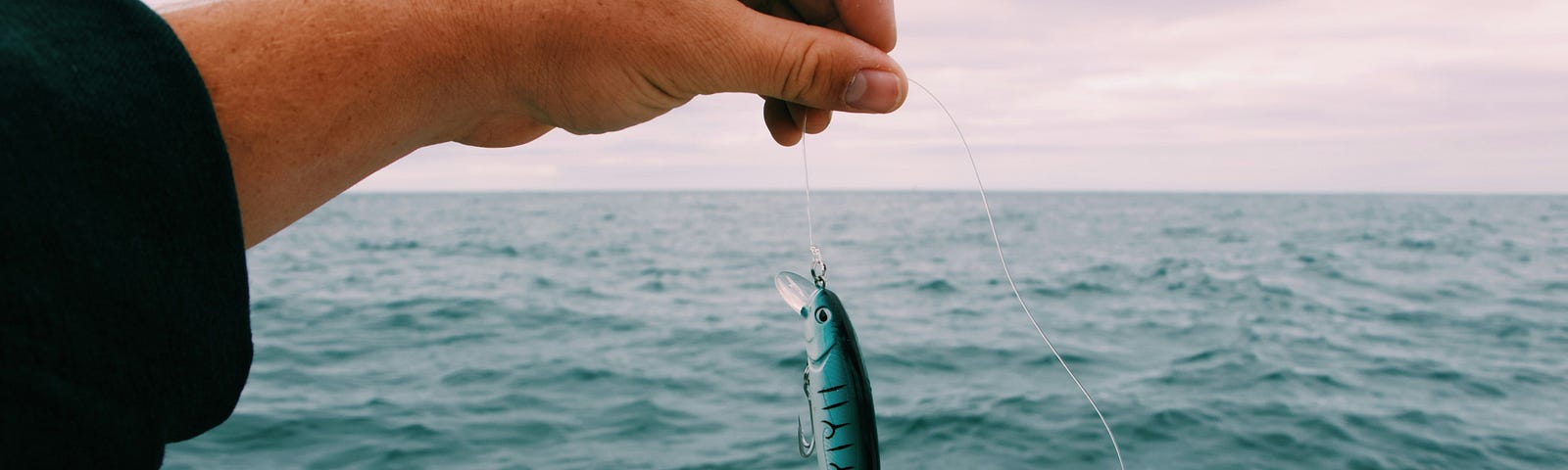 Image of a hand holding a fish hook that looks like a small fish.