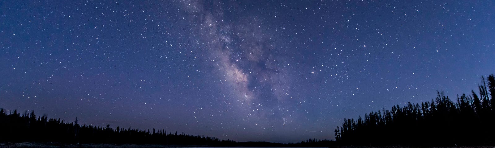 It’s night. There is a lake with trees on either side. Stars glimmer in the sky and are reflected in the water below.