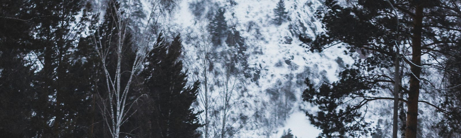 Bus on the road in snowy surroundings driving towards a mountain