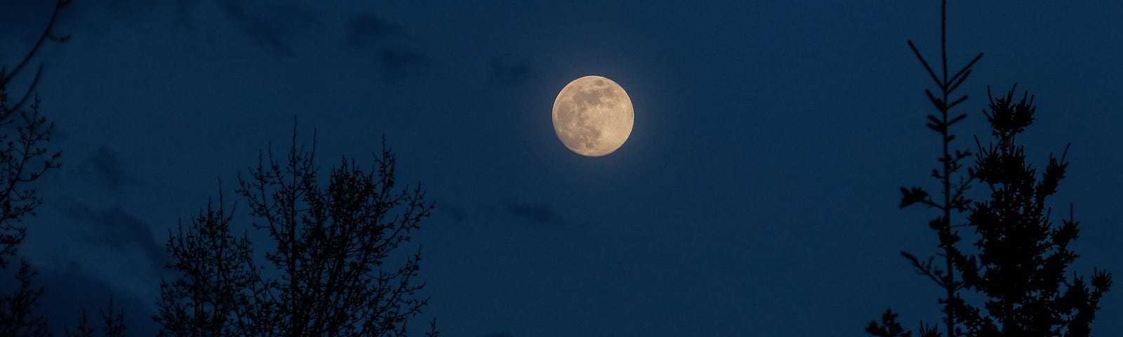 The moon above some trees.