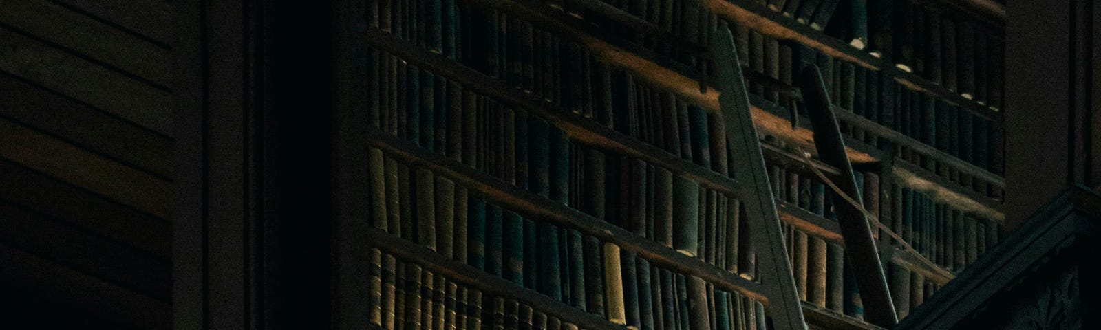 View looking up at a floor-to-ceiling bay of shelves in a very old and dark library, full of dusty and leatherbound tomes, lit only from below. The top of a ladder used to reach the upper shelves can also be seen.