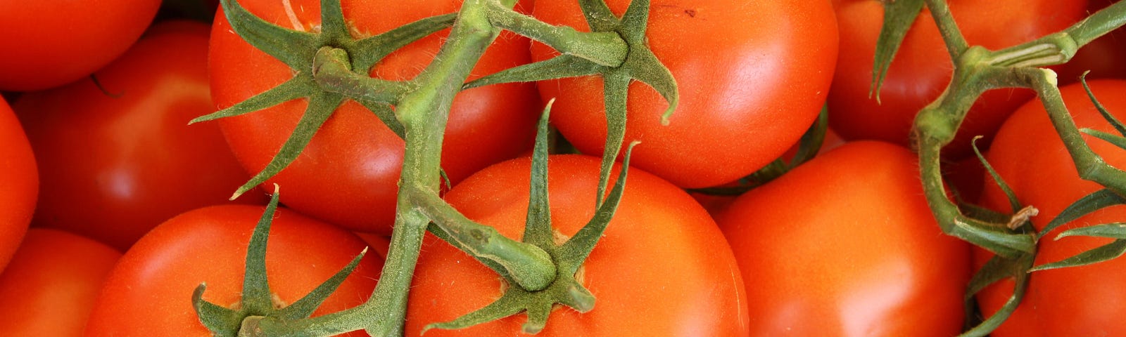 A close-up shot of ripe, reddish-orange tomatoes.