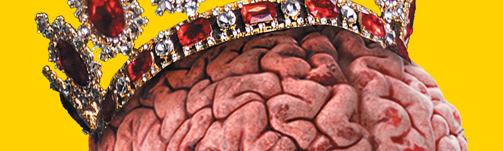 A brain wearing a crown.