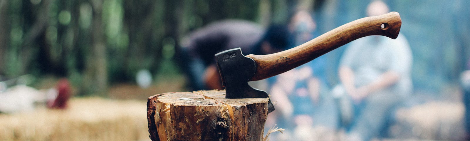 Axe stuck in tree stump