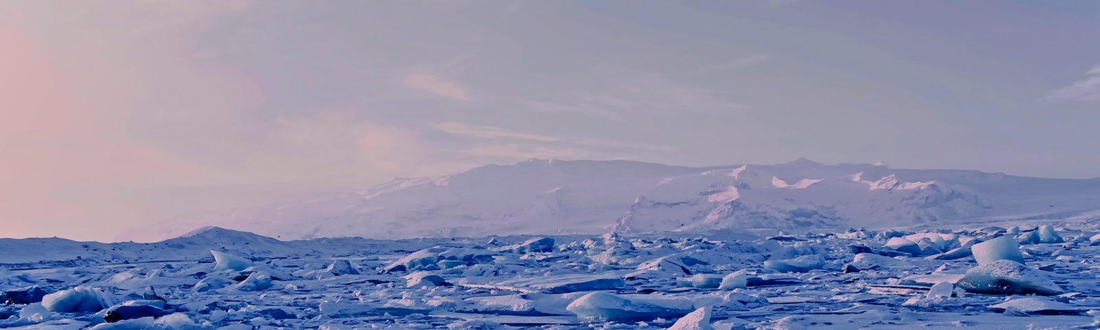 Two people standing on floating ice sheets surrounded by many sheets.