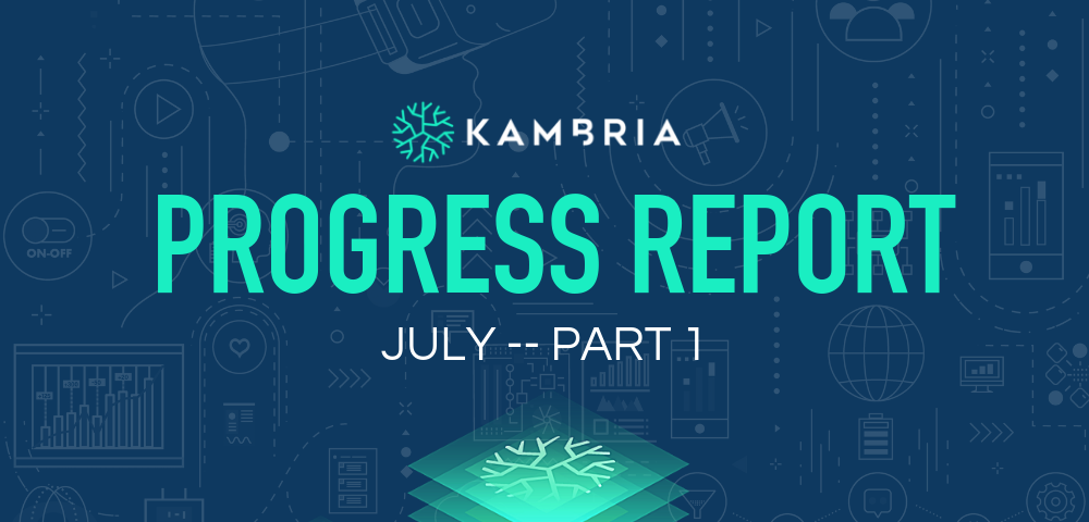 Kambria Progress Report -- July 2019, Part 1
