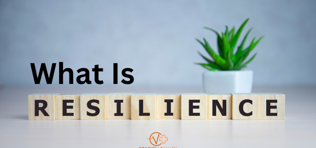 what is resiliance?