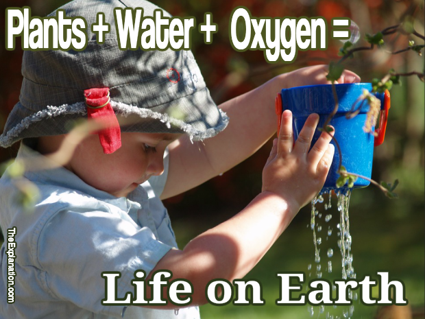If it weren’t for plants and water, which produce our nutrients and oxygen, there wouldn’t be any life on Earth.
