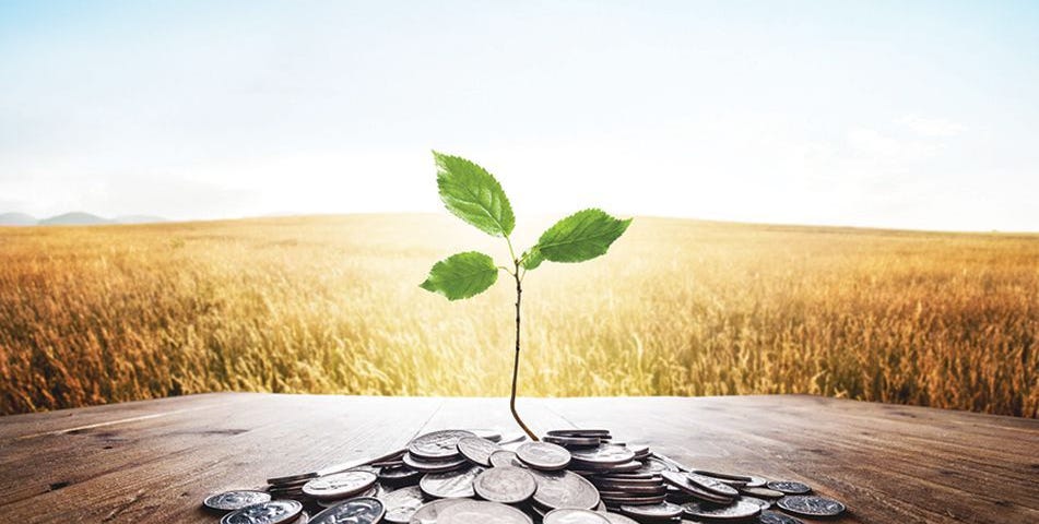 Picture of a sapling with quarters surrounding it with a field in the background