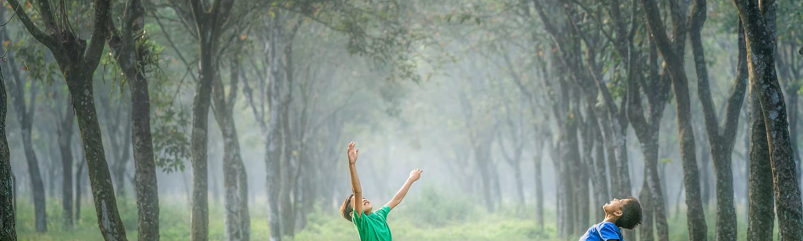 Kids playing in a field