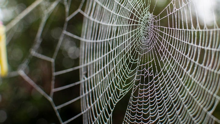 a close up view of a spider web