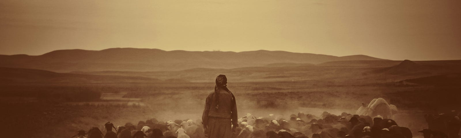 sepia-toned image of a shepherd and his sheep in a field