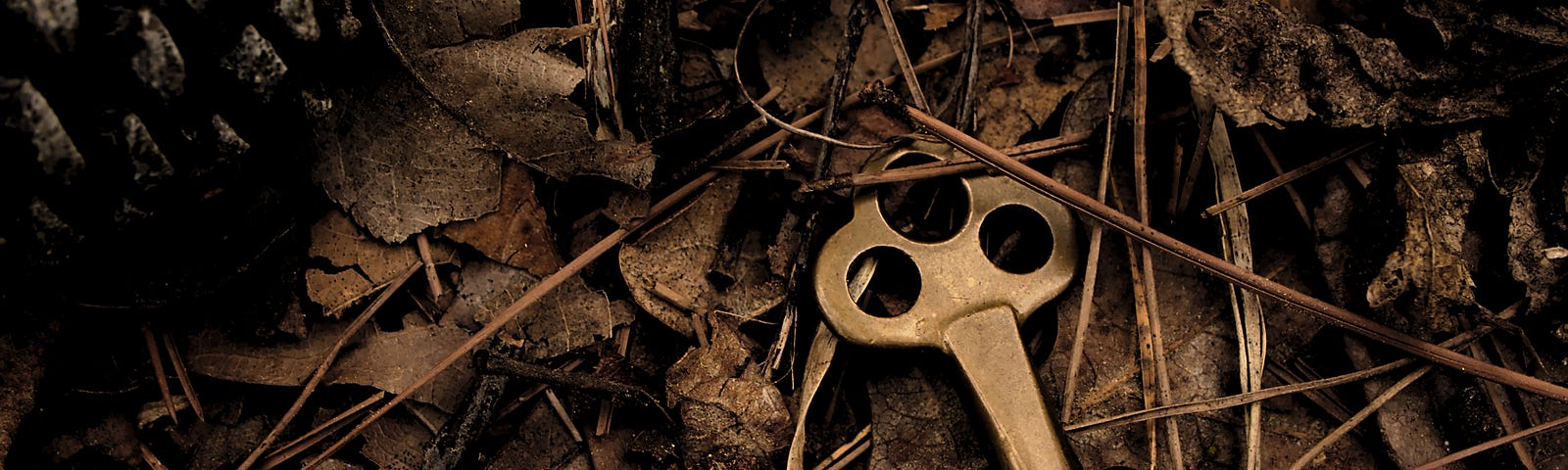 an old key amidst dead leaves. A Snipe Hunt by Rena Willis