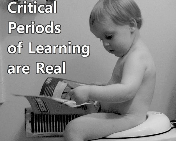 Critical periods of learning are real. There are periods in a child’s life when learning certain disciplines comes easier.