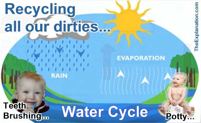 The Water Cycle: Life’s activities — brushing our teeth and potty training — change clean water into used or dirty water.