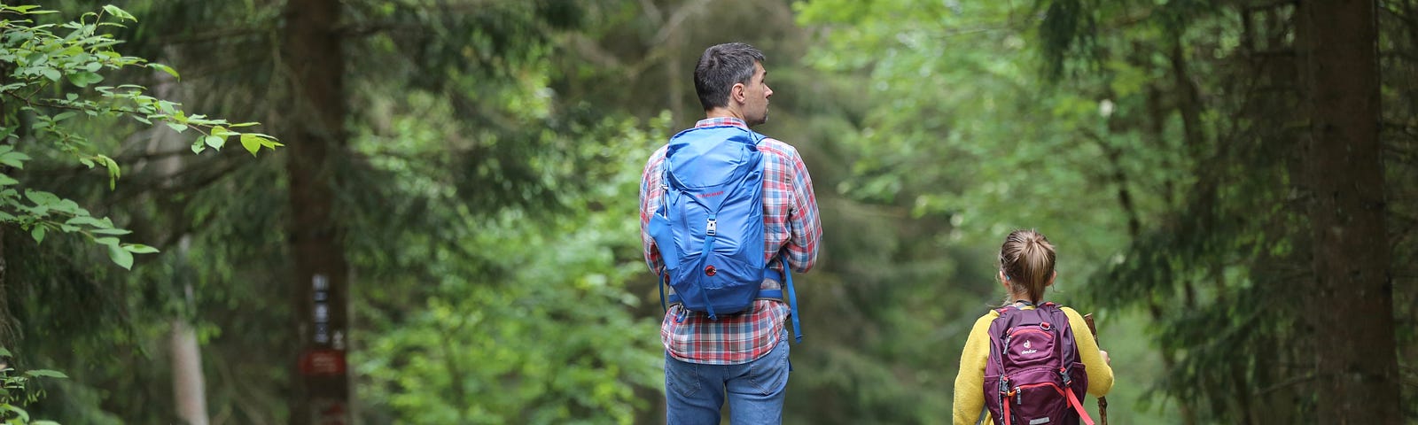 Father and daughter with backpacks beginning a hike down a wooded trail