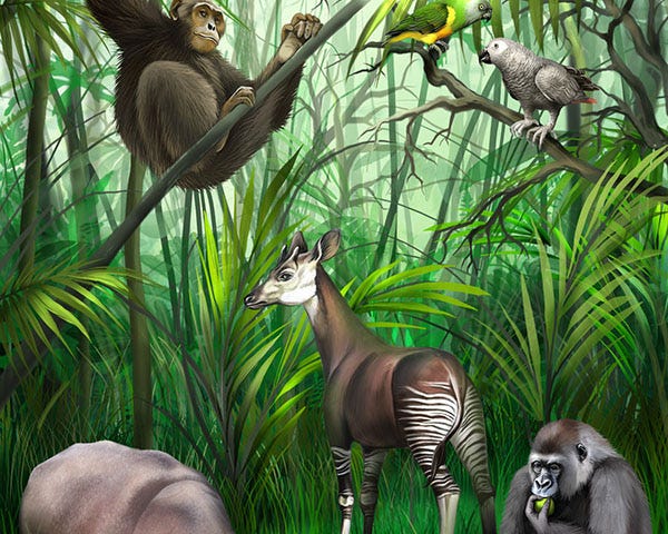 Image showing the diversity of animals.