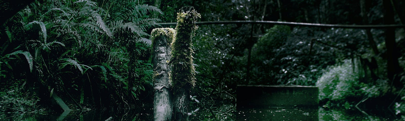 green gate in wild green country