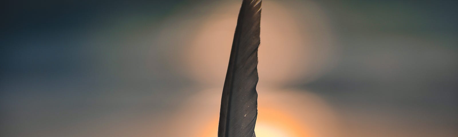 a feather with a sunset in the background