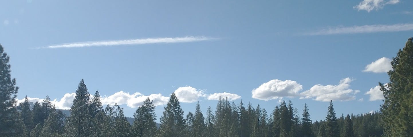 Set of clouds in a line, just above pine tree tops. A paved road runs along the side. One cloud has the remnants of a curl barely visible.