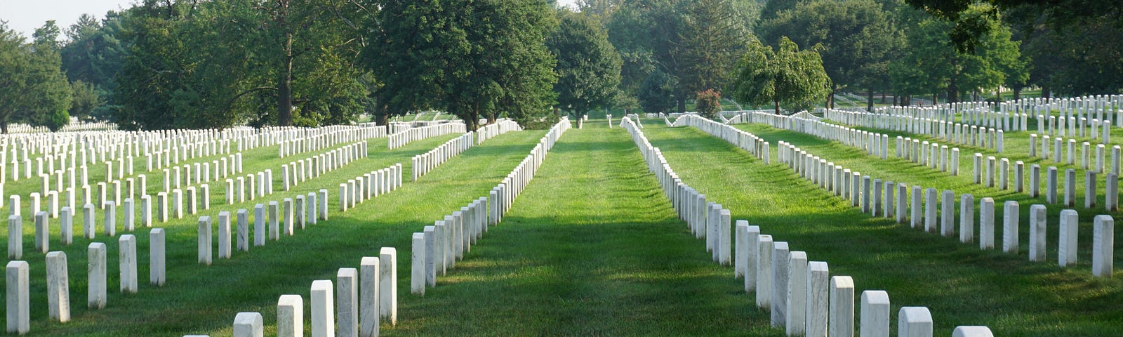 A photo of gravestones at Arlington