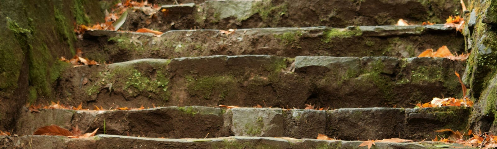 Outdoor winding stone stairway with autumn leaves on the steps, and moss on the stone walls.