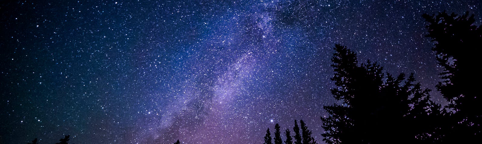 Stars in the Milky Way populate a blue/black sky, with evergreen trees at the bottom of the image.