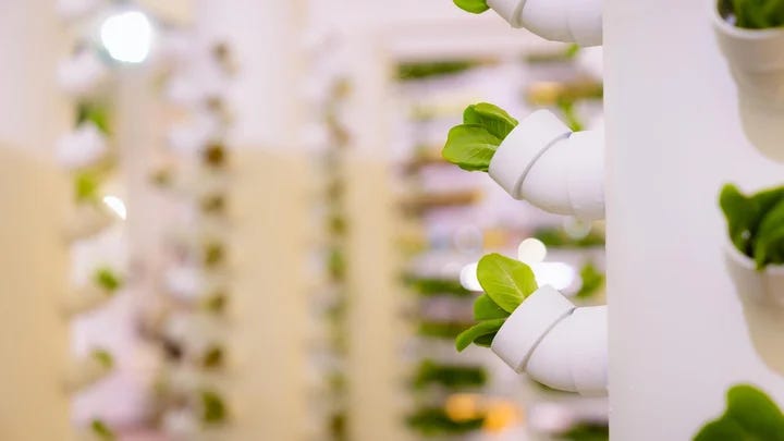 Looking for a way to get into vertical gardening?
 
Hydro towers are the perfect way to get started with vertical farming. These towers are easy to use and don’t require a lot of space, making them the perfect choice for people who want to start growing their own vegetables.