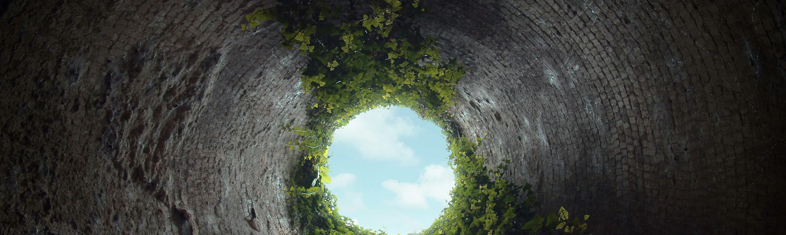 A long shaft built with bricks, likely from a well. At the top you see a cloudy blue sky hanging over its opening. It is framed by green vegetation growing around the edge of the well.