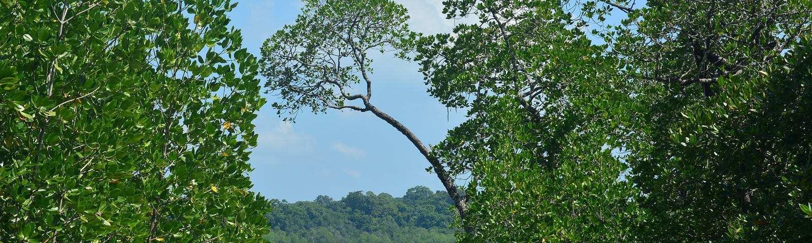 A picture of the Polynesian Islands: paradise without illness?