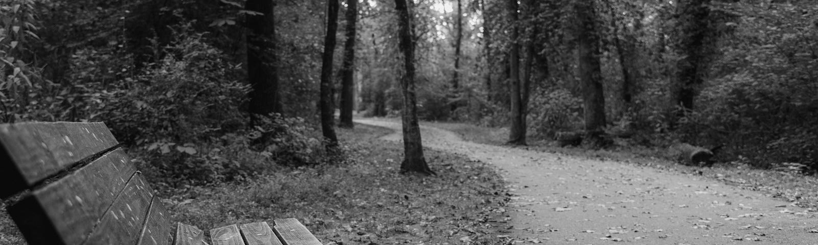 a black and white photo of a wooden bench beside a gravel path