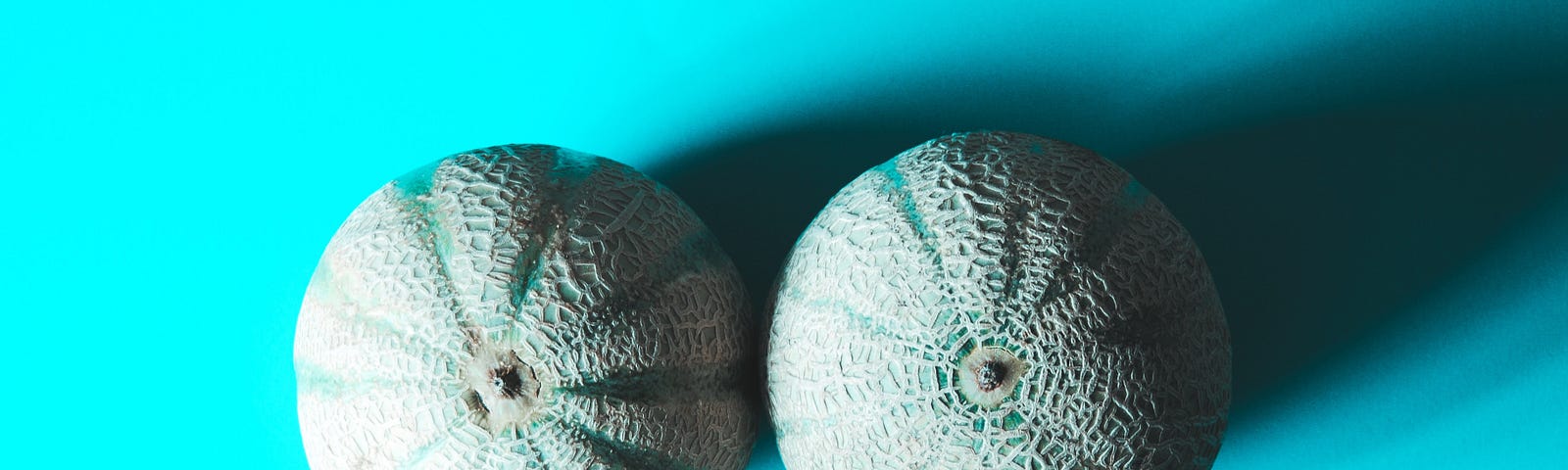 Two side-by-side cantaloupes