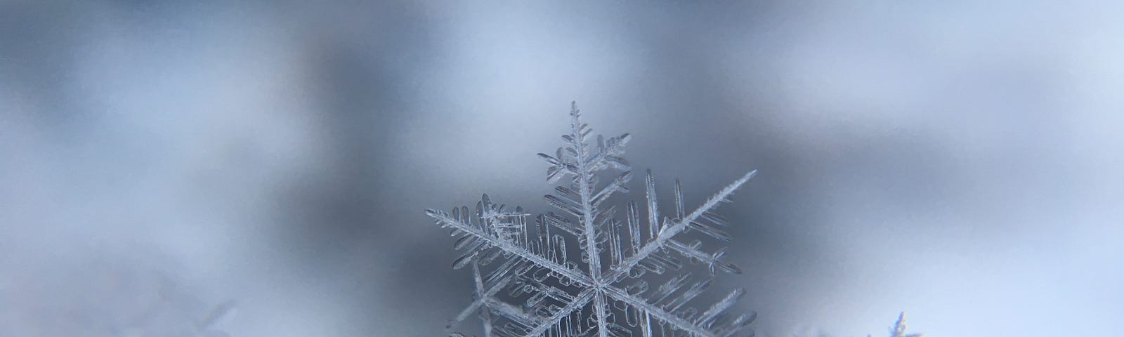 A macro image of a snowflake