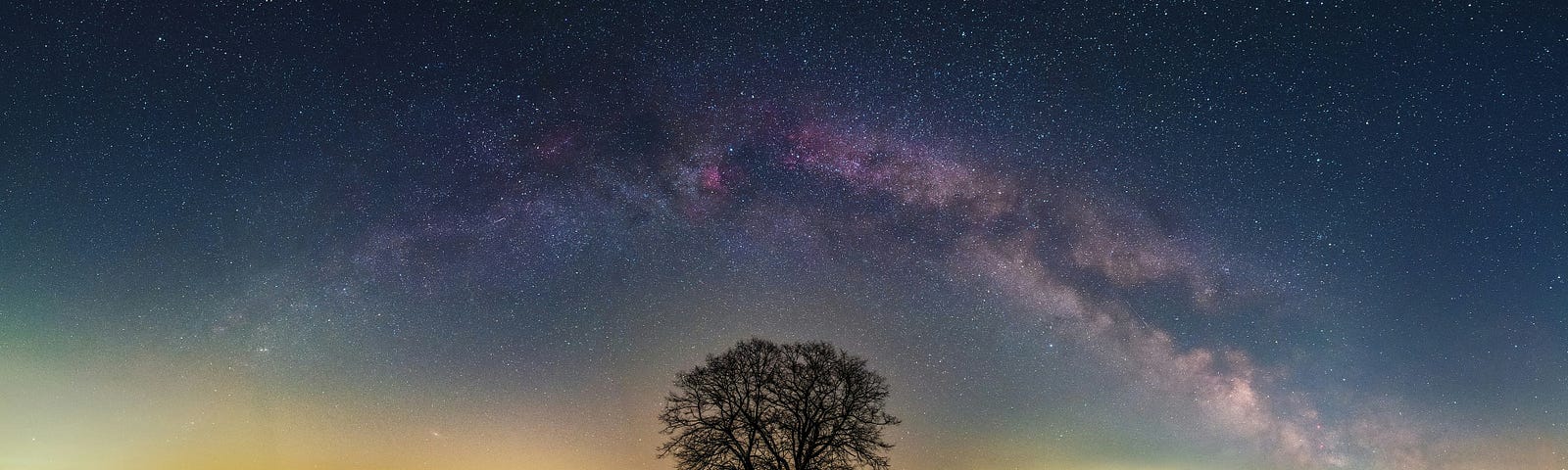 a single tree standing alone in the field under a starry sky, milky way, cosmos, with a touch of light in the distance.