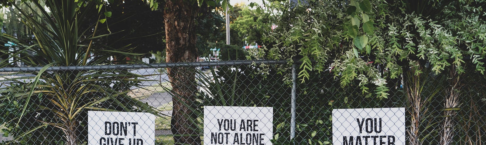 3 black + white signs on a wire fence: “don’t give up,” “you are not alone,” and “you matter” with trees in the background