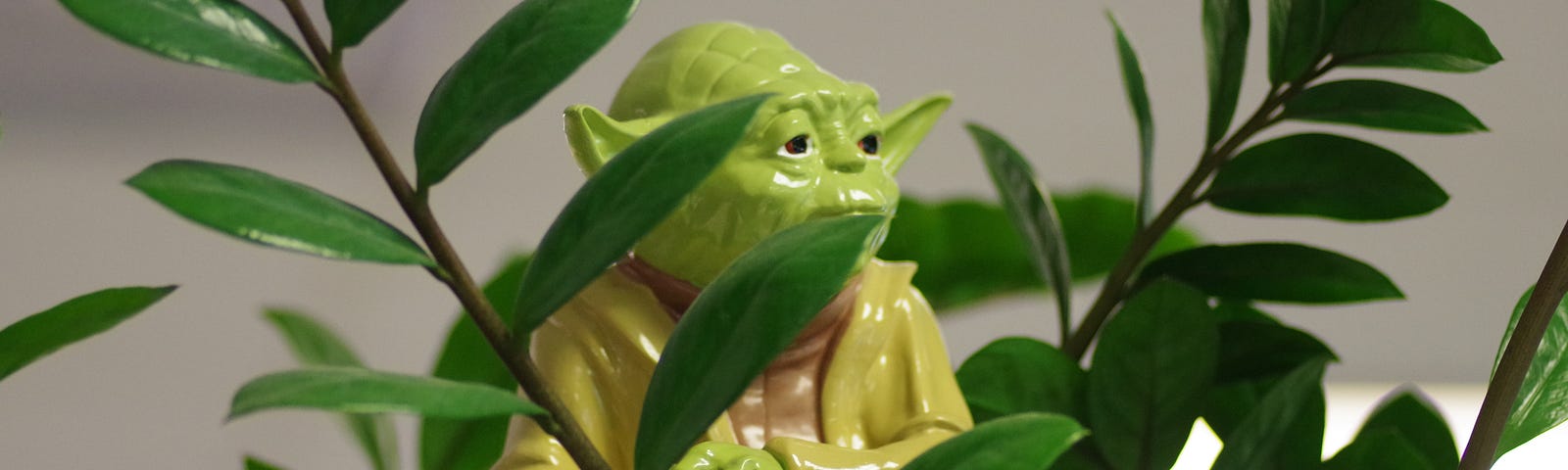 A tiny model of Star Wars’Yoda character stands peeping through a jungle of leaves.