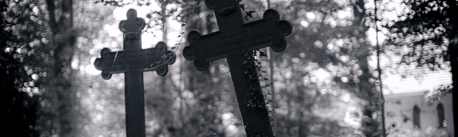 grey scale of two crosses