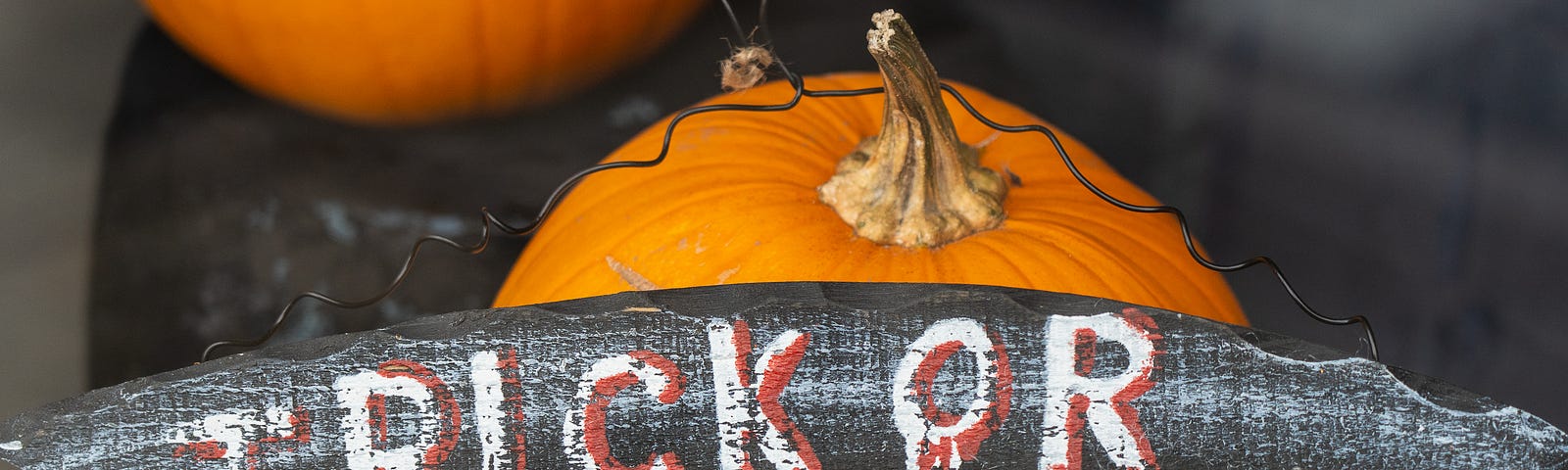 Photo of a Trick or Treat sign with a pumpkin.