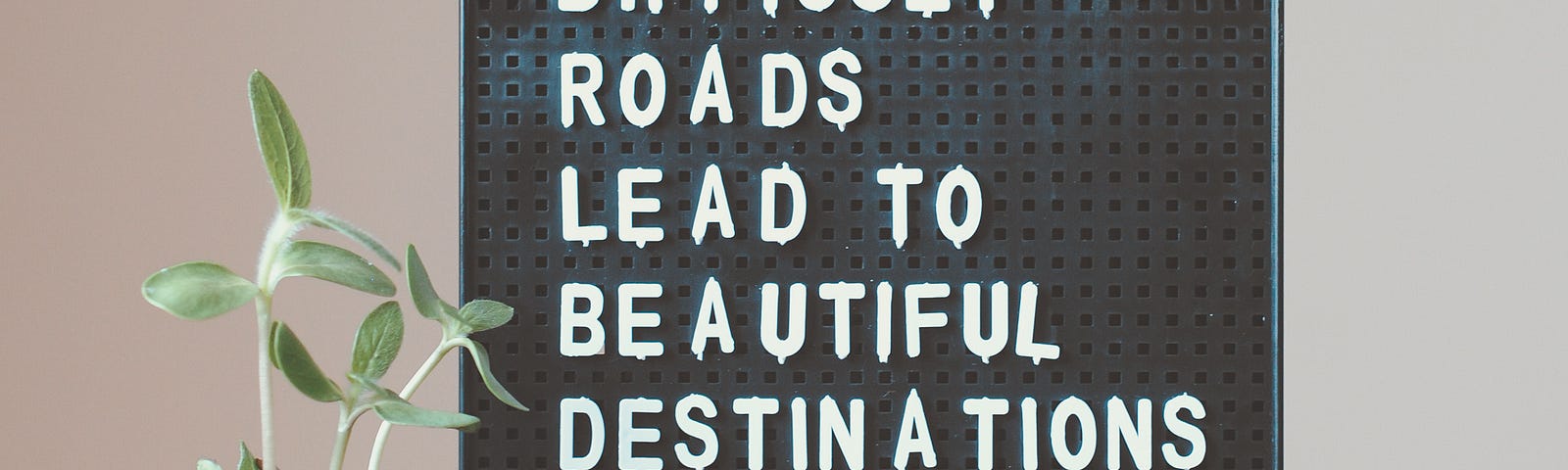 The roads less traveled are more satisfying and fulfilling