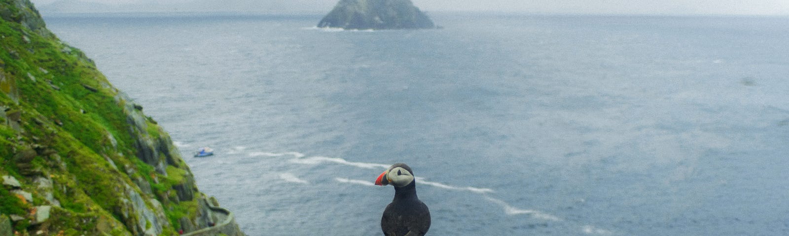 a puffin on a cliff in front of Skellig Rock Island that is shaped like Australia