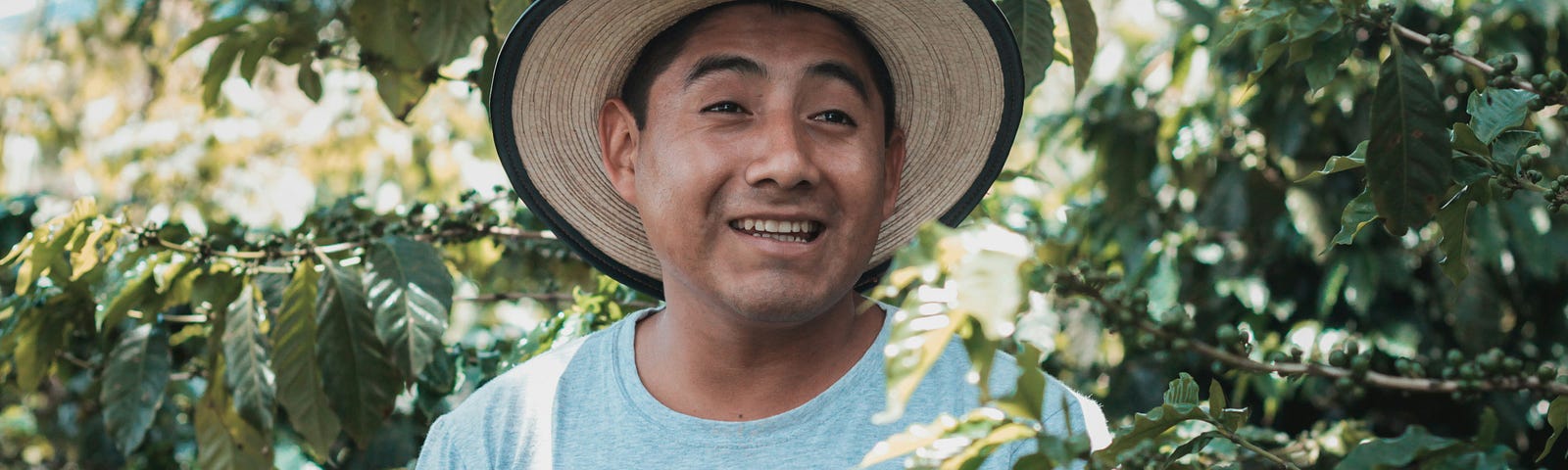 Smiling man amidst the trees