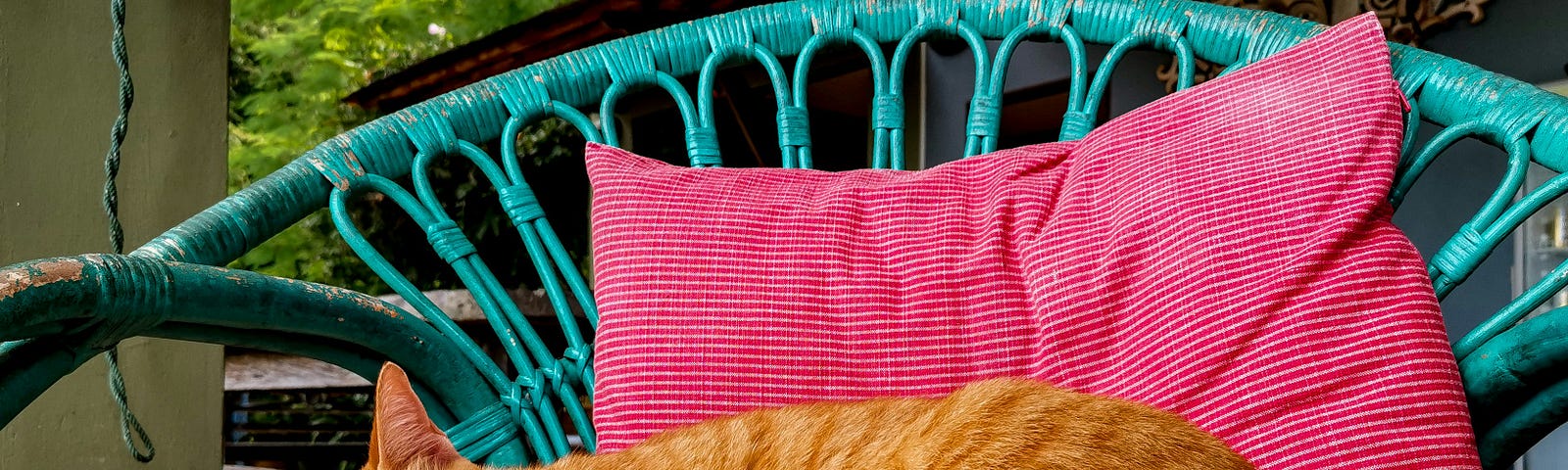 an orange cat napping on a chair with a pink pillow