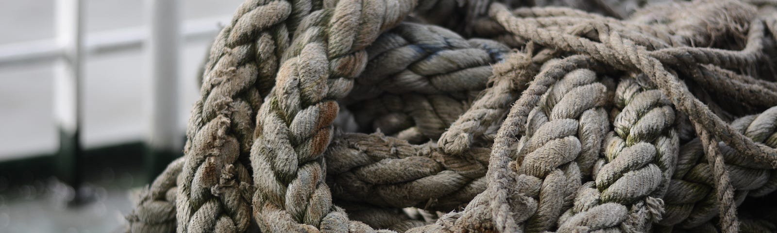 A pile of tangle of rope.
