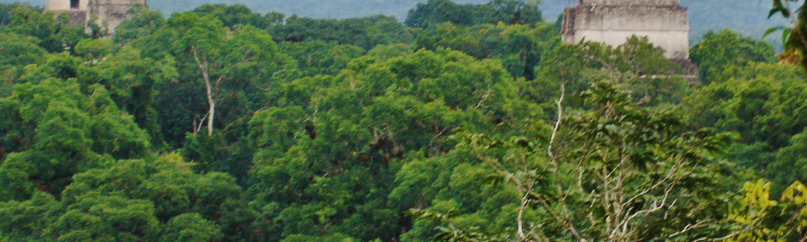 Dois templos no meio de uma floresta.