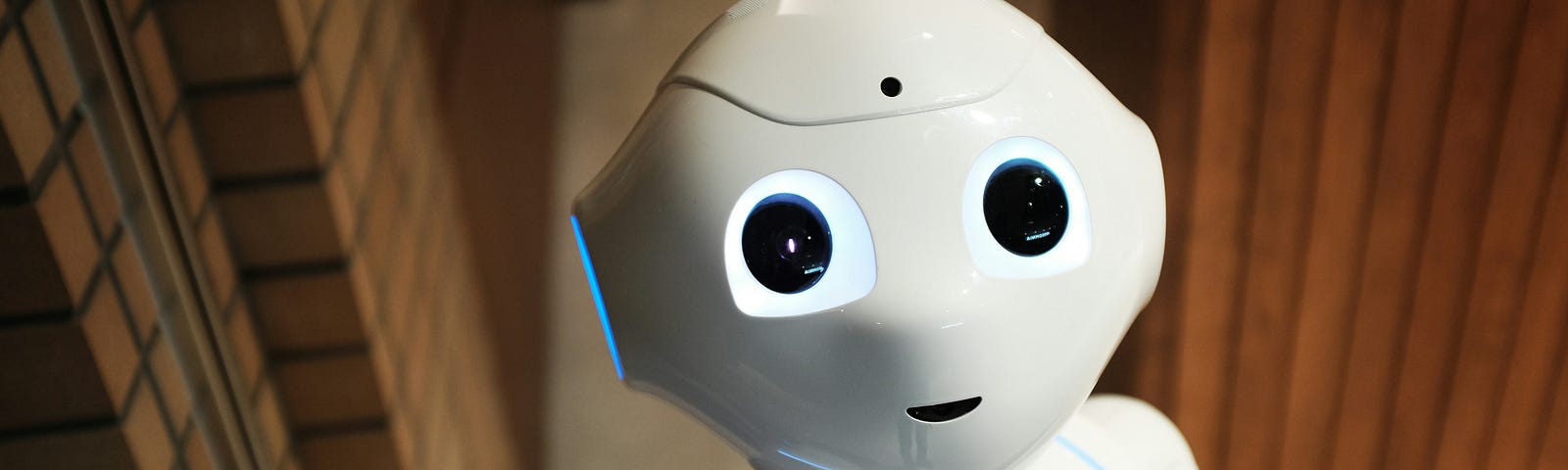 Robot
