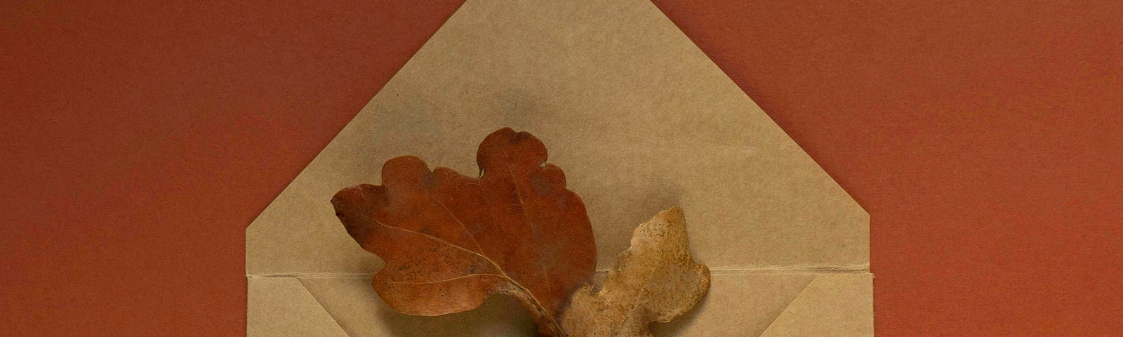 Envelope with leaves inside