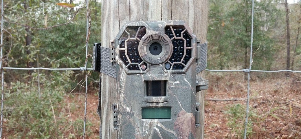 Trail Camera Box