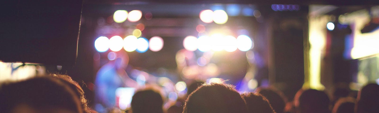 Crowd at a live show